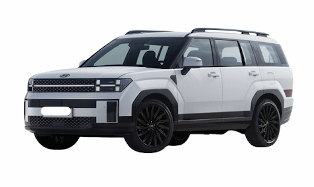 _HYUNDAI_ Santa Fe 2024_ Gasoline_ used car